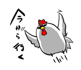 Chicken parent and child sticker #2703035