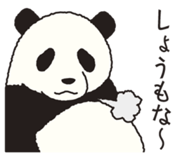 The panda of the Sanuki dialect. sticker #2704307