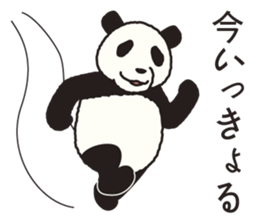 The panda of the Sanuki dialect. sticker #2704316