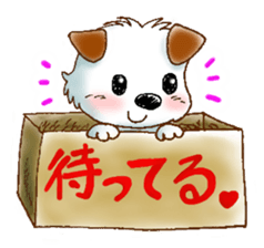 Wanta-kun daily sticker #2705827