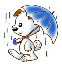 Wanta-kun daily sticker #2705841