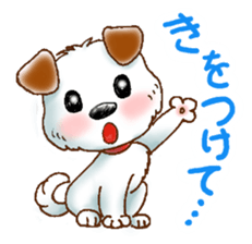Wanta-kun daily sticker #2705842