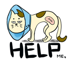 The feeling of a cat. sticker #2705871