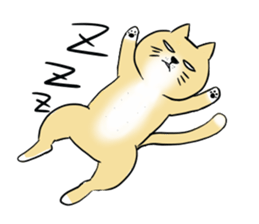 The feeling of a cat. sticker #2705880