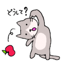 Apple and cats sticker #2706993