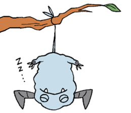 Accutane sticker #2707024