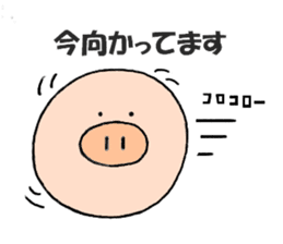 kind of pig(animal sticker) sticker #2707428