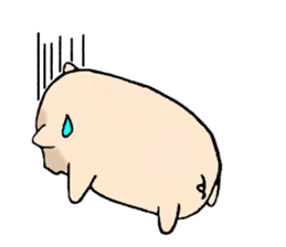 kind of pig(animal sticker) sticker #2707454