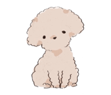 Fluffy Toy Poodle sticker #2711299