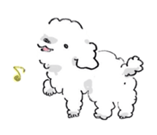 Fluffy Toy Poodle sticker #2711303
