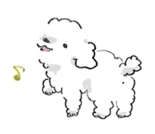 Fluffy Toy Poodle sticker #2711303