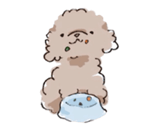 Fluffy Toy Poodle sticker #2711306