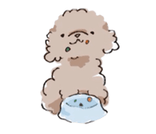 Fluffy Toy Poodle sticker #2711306