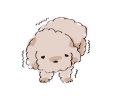 Fluffy Toy Poodle sticker #2711307