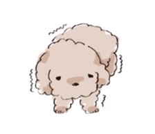 Fluffy Toy Poodle sticker #2711307