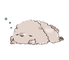 Fluffy Toy Poodle sticker #2711309