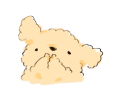 Fluffy Toy Poodle sticker #2711311