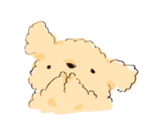 Fluffy Toy Poodle sticker #2711311