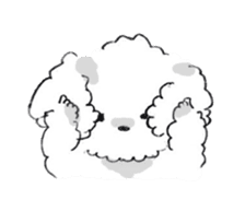 Fluffy Toy Poodle sticker #2711312