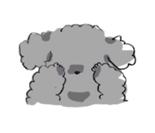 Fluffy Toy Poodle sticker #2711313
