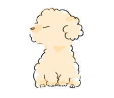 Fluffy Toy Poodle sticker #2711314