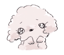 Fluffy Toy Poodle sticker #2711316