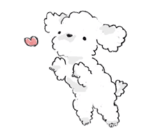 Fluffy Toy Poodle sticker #2711317