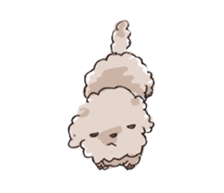 Fluffy Toy Poodle sticker #2711319