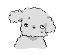 Fluffy Toy Poodle sticker #2711320