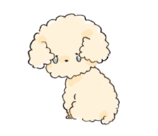 Fluffy Toy Poodle sticker #2711321