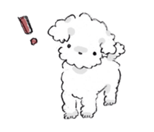 Fluffy Toy Poodle sticker #2711322