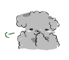 Fluffy Toy Poodle sticker #2711325
