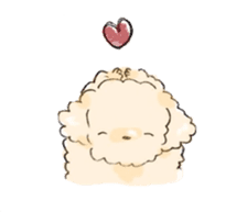 Fluffy Toy Poodle sticker #2711332
