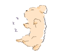 Fluffy Toy Poodle sticker #2711334