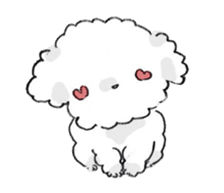 Fluffy Toy Poodle sticker #2711335