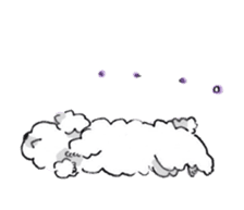 Fluffy Toy Poodle sticker #2711337