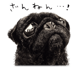 Boku Pug sticker #2715477