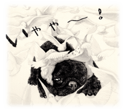 Boku Pug sticker #2715490