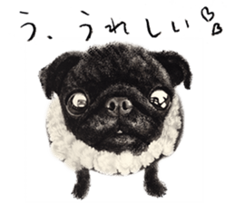 Boku Pug sticker #2715504