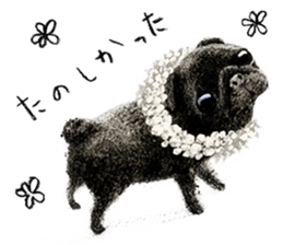 Boku Pug sticker #2715513