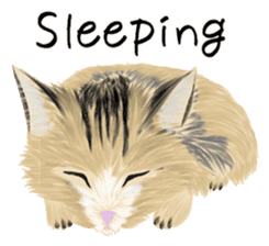 real cats(Eng ver.) sticker #2715556