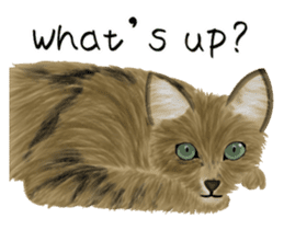 real cats(Eng ver.) sticker #2715557