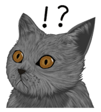 real cats(Eng ver.) sticker #2715561