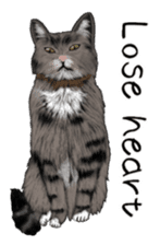 real cats(Eng ver.) sticker #2715563