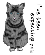 real cats(Eng ver.) sticker #2715564