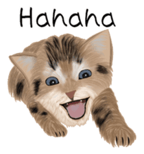 real cats(Eng ver.) sticker #2715565