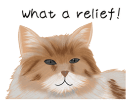 real cats(Eng ver.) sticker #2715567