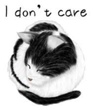 real cats(Eng ver.) sticker #2715570