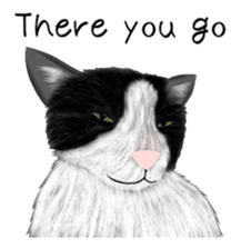 real cats(Eng ver.) sticker #2715571