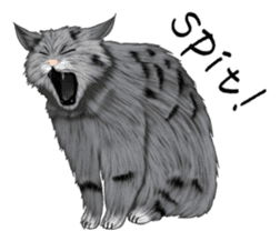 real cats(Eng ver.) sticker #2715574